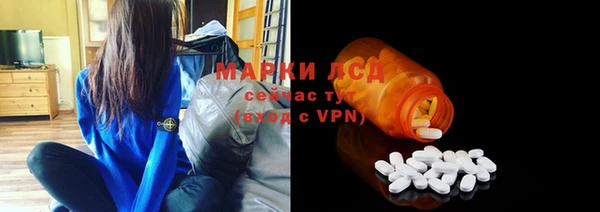 ГАЛЛЮЦИНОГЕННЫЕ ГРИБЫ Гусев