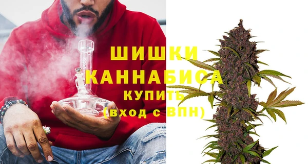ГАЛЛЮЦИНОГЕННЫЕ ГРИБЫ Гусев