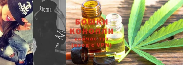 ГАЛЛЮЦИНОГЕННЫЕ ГРИБЫ Лихославль
