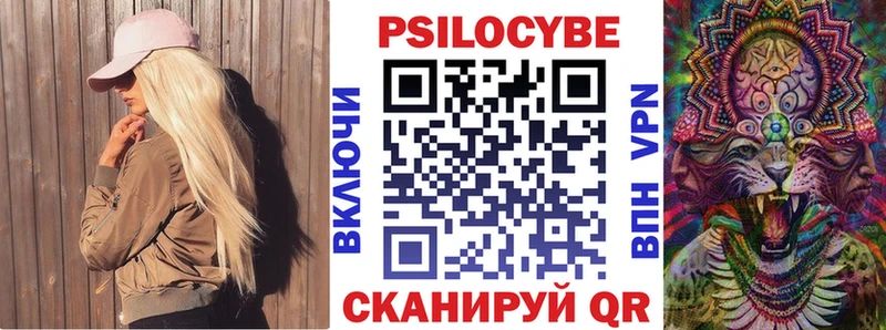 где купить наркоту Невьянск Псилоцибиновые грибы Psilocybine cubensis